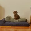 Pet Hommey | Hommey Boucle Dog Bed - Green | Durable, Thick, Washable & Orthopaedic Pet Bed Olive