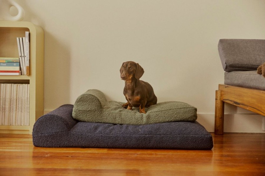 Pet Hommey | Hommey Boucle Dog Bed - Green | Durable, Thick, Washable & Orthopaedic Pet Bed Olive