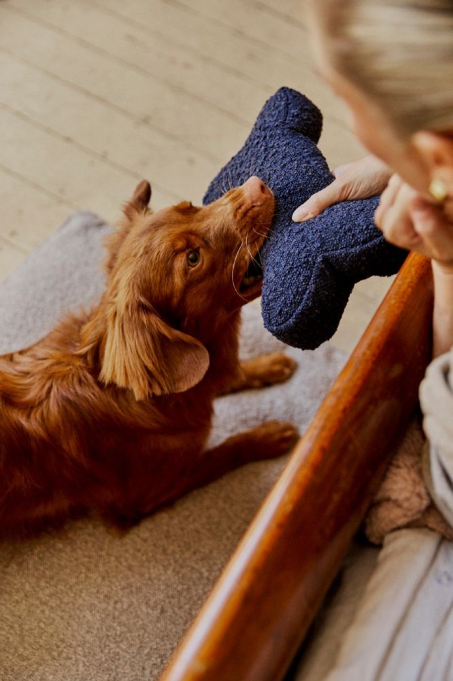 Pet Hommey | Boucle Bone Pillow Duke