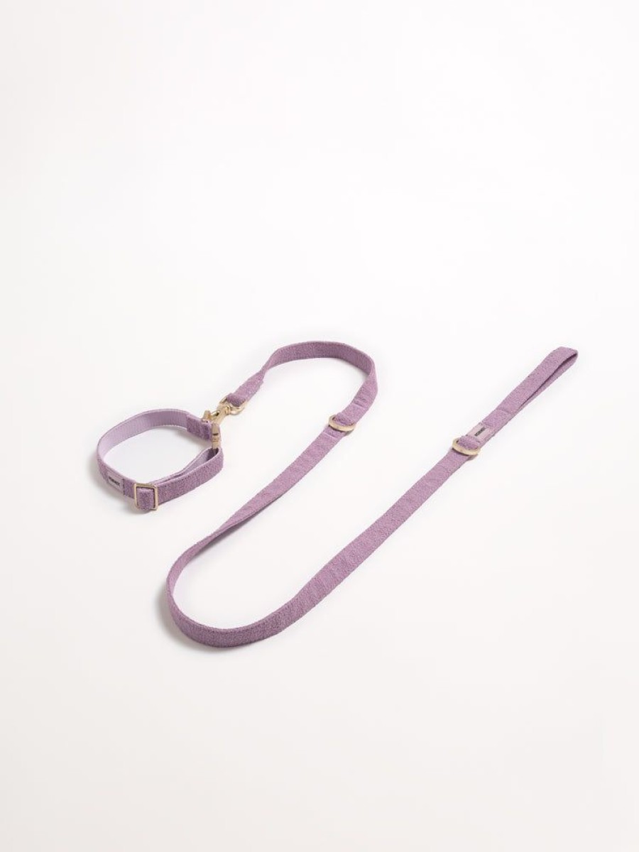 Pet Hommey | Boucle Pet Lead Lilac