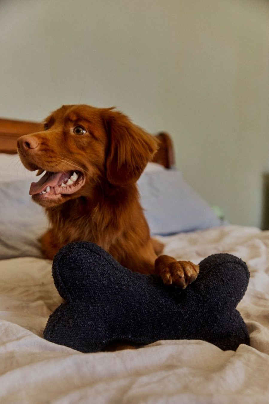 Pet Hommey | Boucle Bone Pillow Raven