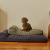 Pet Hommey | Hommey Boucle Dog Bed - Navy | Durable, Thick, Washable & Orthopaedic Pet Bed Duke