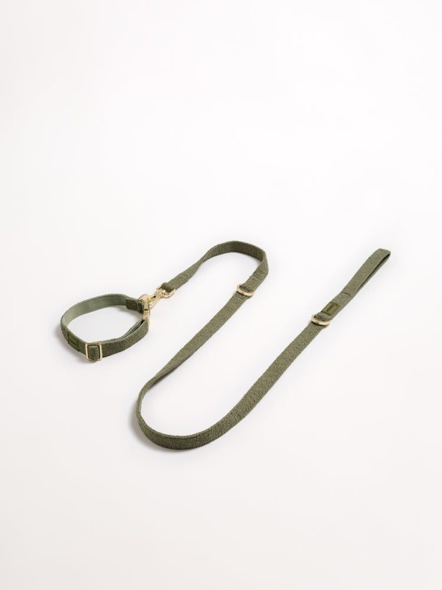 Pet Hommey | Boucle Pet Lead Olive