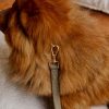 Pet Hommey | Boucle Pet Collar Olive