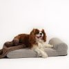 Pet Hommey | Hommey Boucle Dog Bed - Grey | Durable, Thick, Washable & Orthopaedic Pet Bed Stone