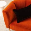 Cushions Hommey | Cushion - Lumbar Velvet Black Cat (Cover Only)