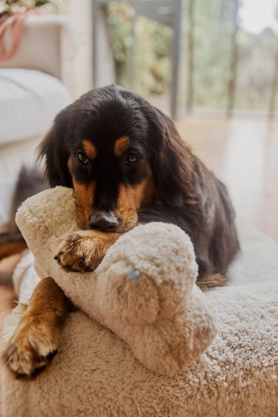 Pet Hommey | Faux Fur Bone Pillow Marshmallow