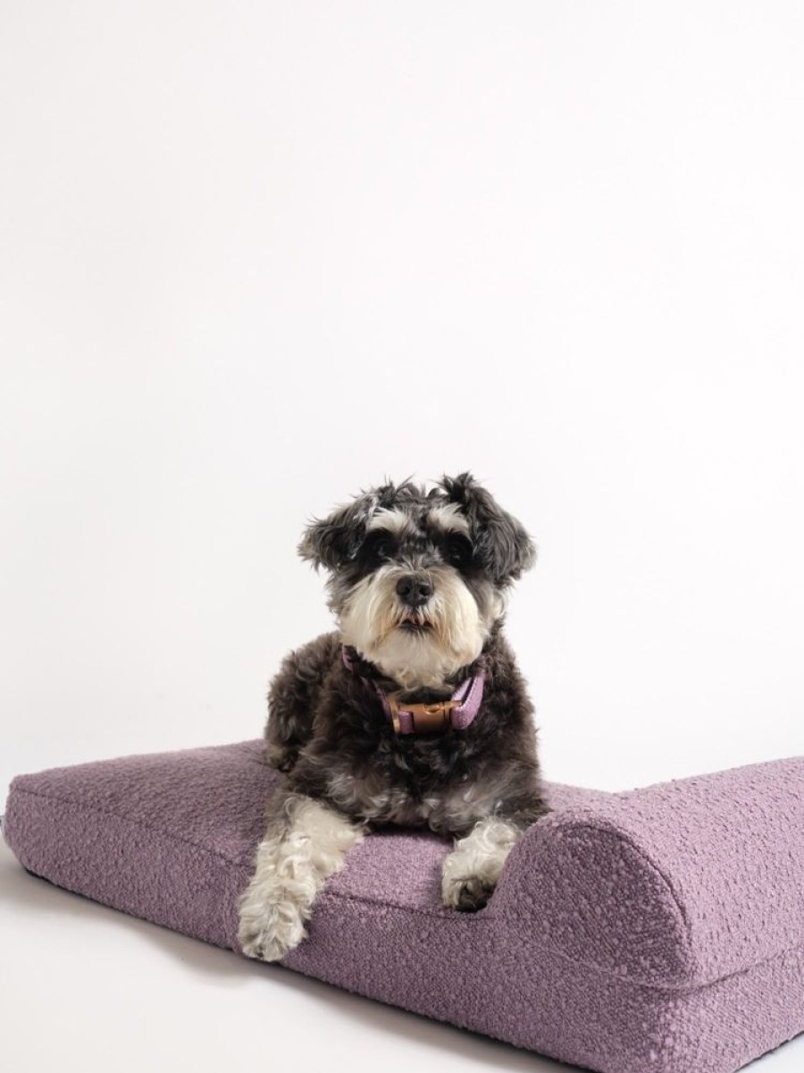 Pet Hommey | Hommey Boucle Dog Bed - Purple | Durable, Thick, Washable & Orthopaedic Pet Bed Lilac